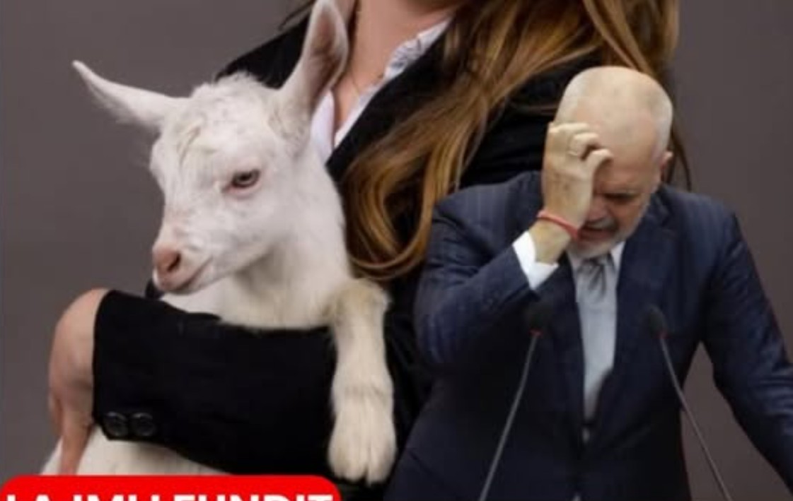 E fundit!! Deputetja e afërt e Ramës i quan shqiptarët dele  (FOTO)