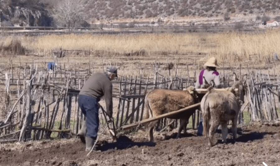 Lajm i madh! Ata që janë prag pensioni mund “të blejnë” vite pune për pension, por kujdes, ja sa do paguani