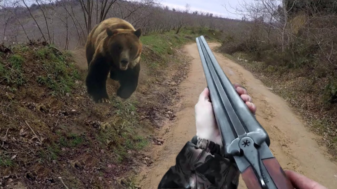 Ky është gjuetari më me fatë në botë, shikoni pamjet se çfarë i bën ariut në momentin e fundit (VIDEO)