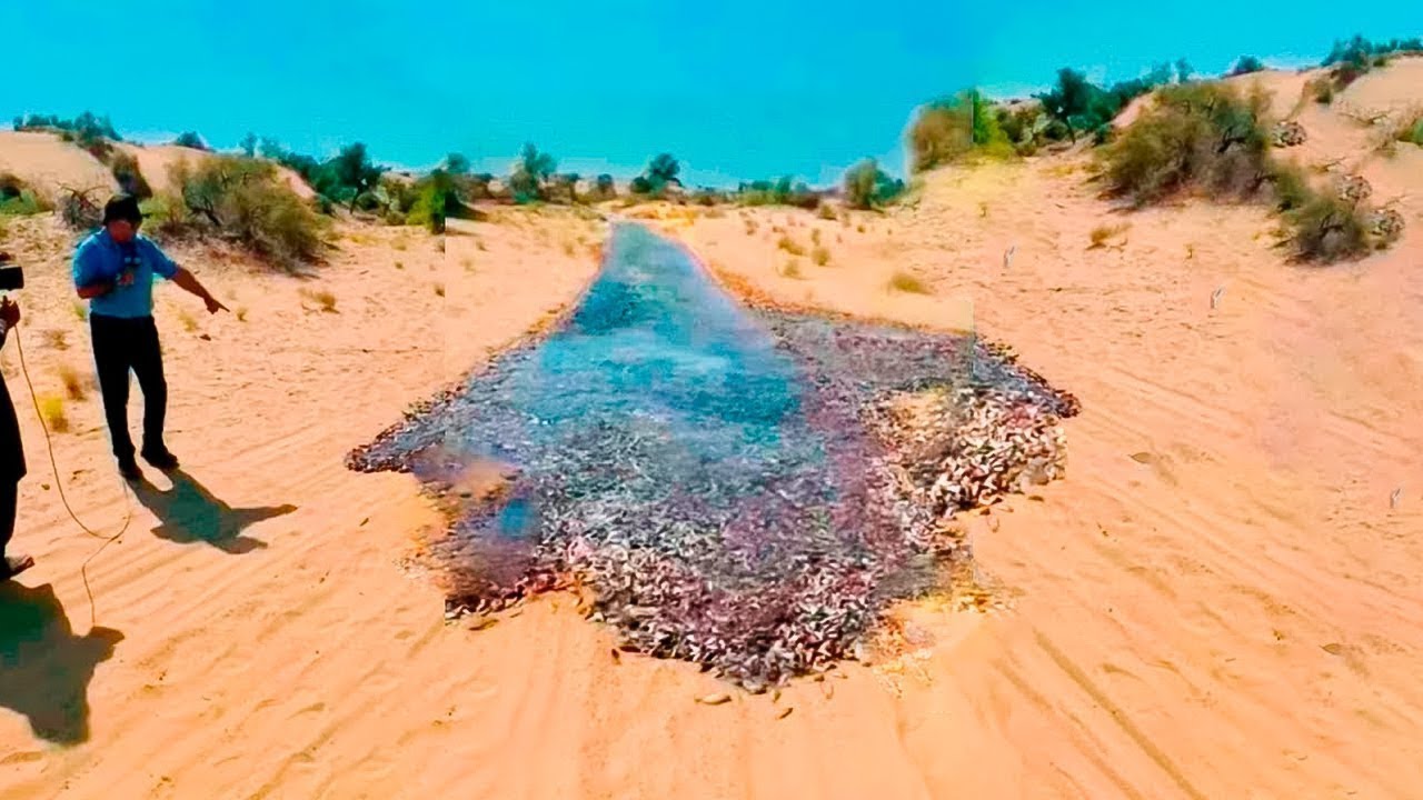 Lumi shfaqet papritur në shkretëtire. Kjo është dukuria që tmerroi shkencetaret!! (VIDEO)