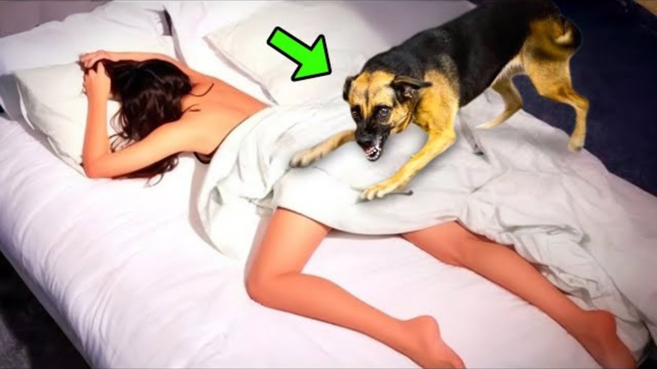 Vajza flinte me qenin e saj çdo natë Muaj më vonë, ajo zbuloi diçka të tmerrshme për të..!(VIDEO)