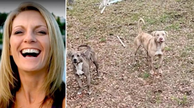 VIDEO/ Fundi tragjik! 50-vjeçarja tentoi të shpëtonte qenin e saj, por u sulmua nga dy pitbullë. Ndërron jetë në spital
