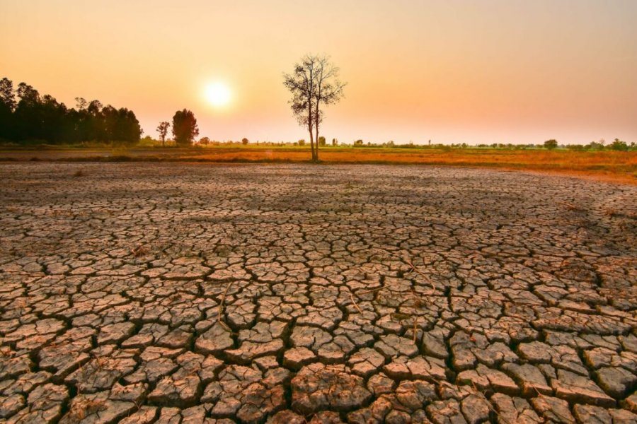 Rikthehet fenomeni “El Nino”, Ja me çfarë pritët të përballet bota në 5 vitet e ardhëshme sipas ekspertve…!