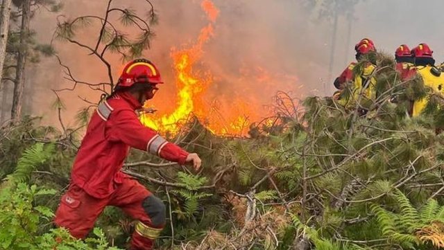 IGJEO: Sot dhe nesër rreziku për zjarre do të jetë edhe më i lartë! Ja kush qytet duhet te ruhet