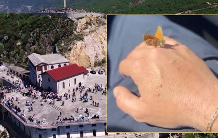 NDODHË NJË TJETËR MREKULLI: “Nga Kisha e Laçit deri në Tiranë, kjo flutur nuk m’u nda nga dora”